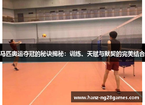 马匹奥运夺冠的秘诀揭秘:训练、天赋与默契的完美结合 马匹奥运夺冠的秘诀揭秘:训练、天赋与默契的完美结合